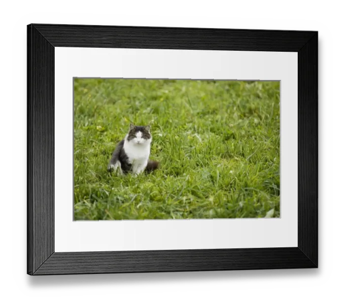 Framed Print : Europe, Italy Framed Print : Europe, Italy