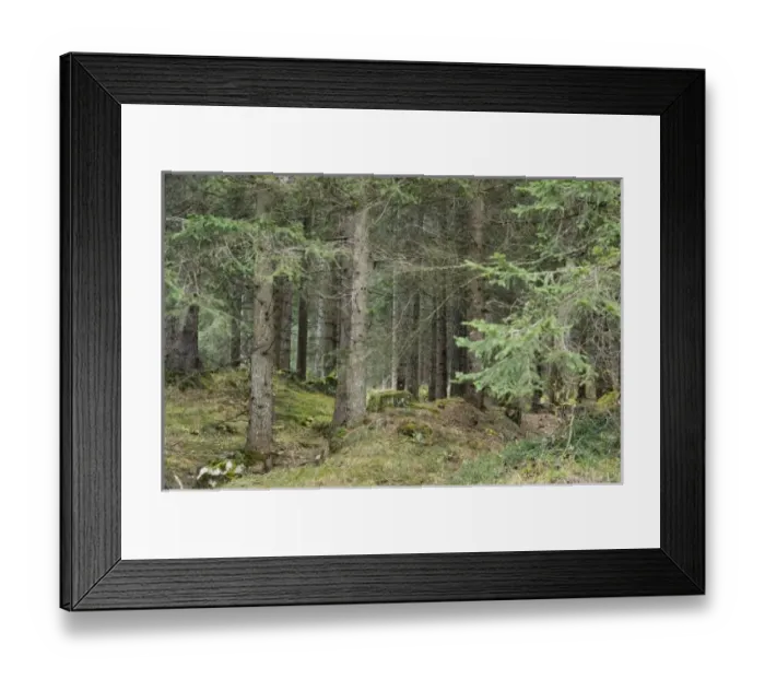 Framed Print : Europe, Italy Framed Print : Europe, Italy