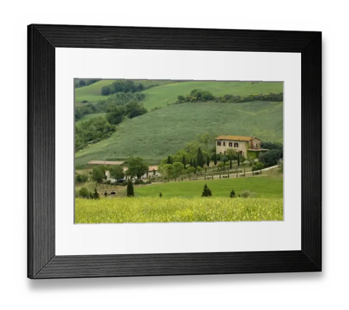 Framed Print : Road from Pienza to Montepulciano, Monticchiello, Val d Orcia, Siena province, Tuscany, Italy Framed Print : Road from Pienza to Montepulciano, Monticchiello, Val d Orcia, Siena province, Tuscany, Italy