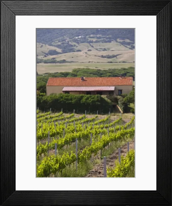 Framed Print : Europe, Italy Framed Print : Europe, Italy