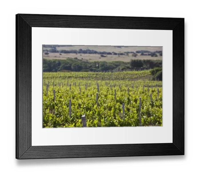 Framed Print : Europe, Italy