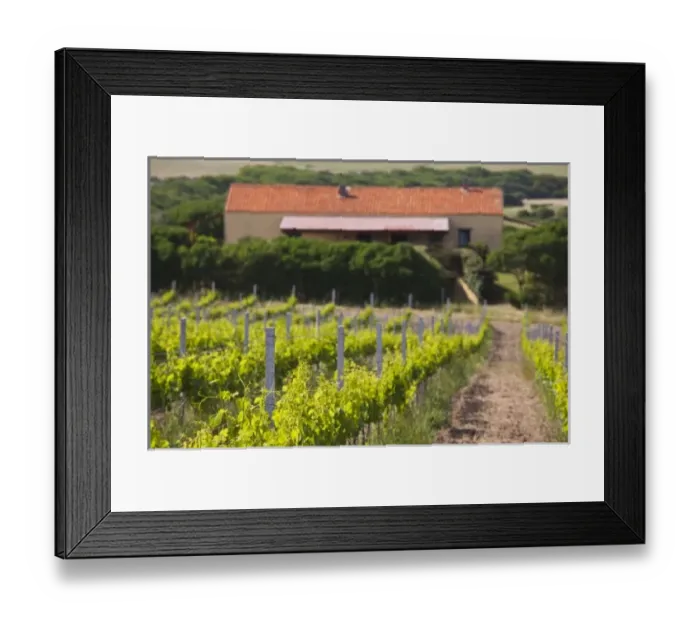 Framed Print : Europe, Italy Framed Print : Europe, Italy