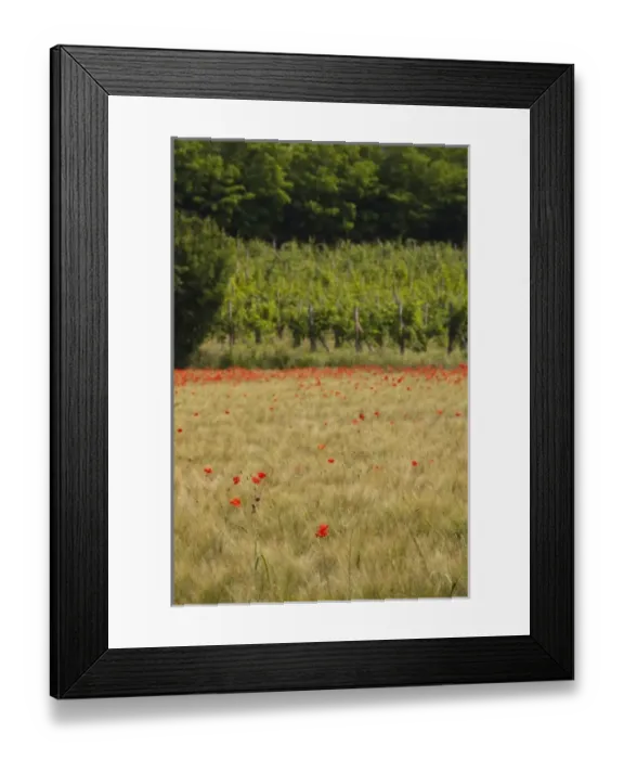 Framed Print : Europe, Italy