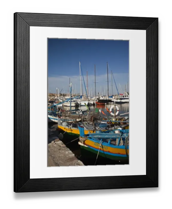 Framed Print : Italy, Sardinia, Alghero. Fishing port