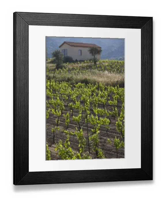 Framed Print : Europe, Italy Framed Print : Europe, Italy