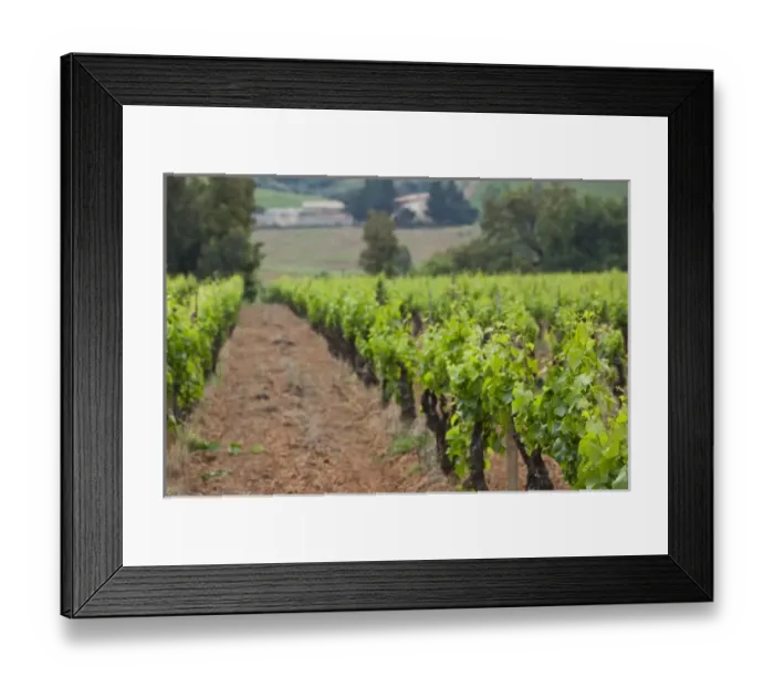 Framed Print : Europe, Italy