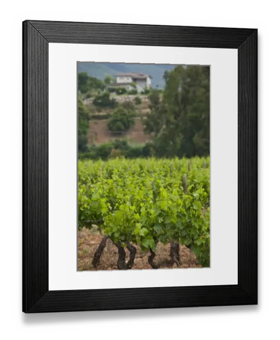Framed Print : Europe, Italy