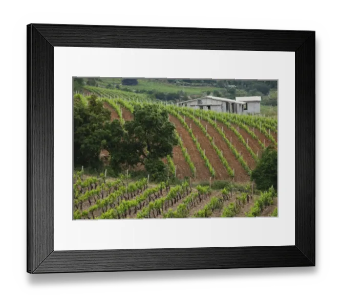 Framed Print : Europe, Italy