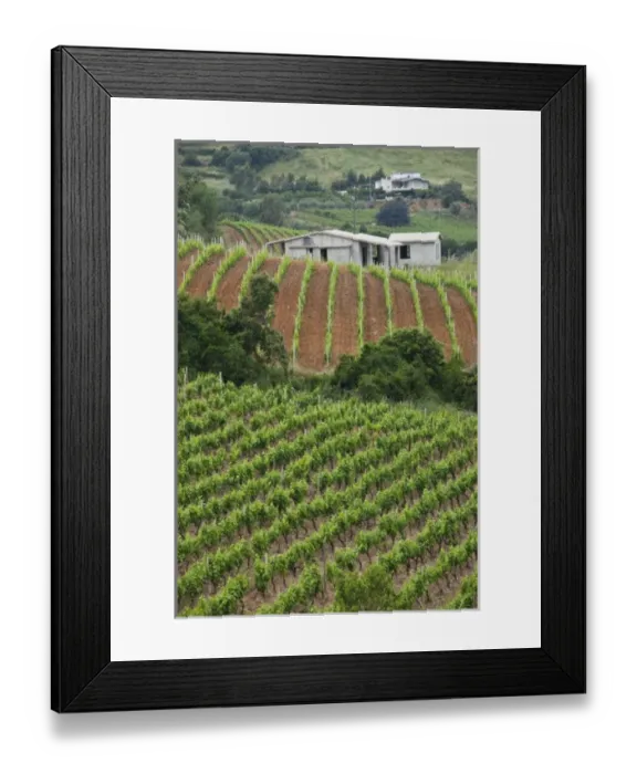 Framed Print : Europe, Italy