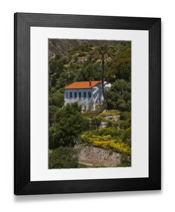 Framed Print : Italy, Sardinia, Masua. House with palm