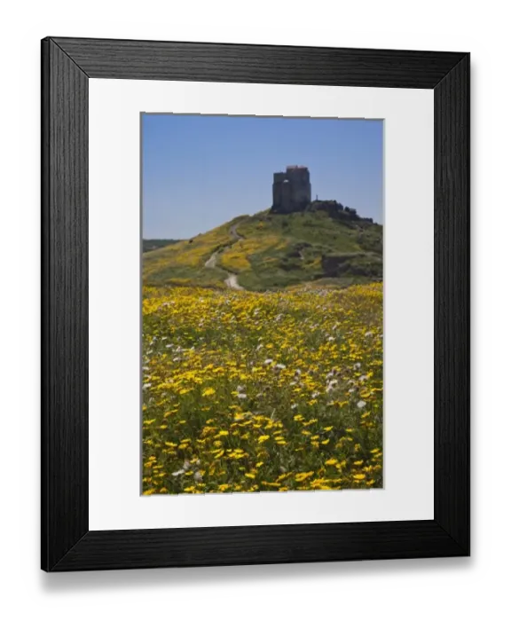 Framed Print : Europe, Italy