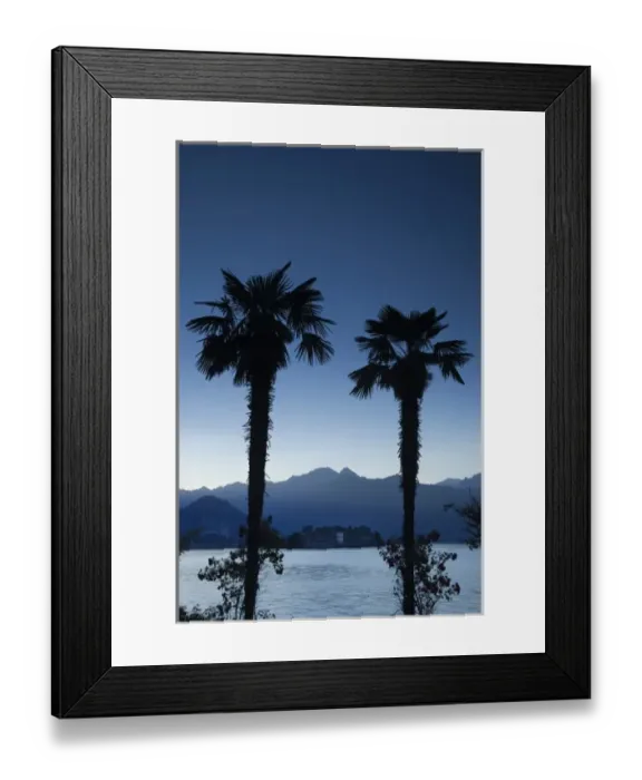 Framed Print : Italy, Verbano-Cusio-Ossola Province, Stresa. Lakefront palms and Isola Bella at dusk Framed Print : Italy, Verbano-Cusio-Ossola Province, Stresa. Lakefront palms and Isola Bella at dusk