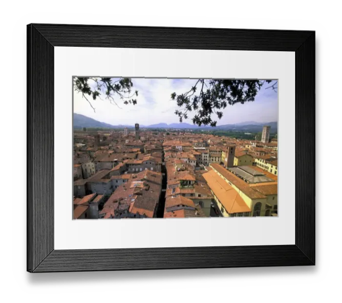 Framed Print : Italy, Tuscany, Lucca. Town panorama from tower, Casa dei Guinigi Framed Print : Italy, Tuscany, Lucca. Town panorama from tower, Casa dei Guinigi