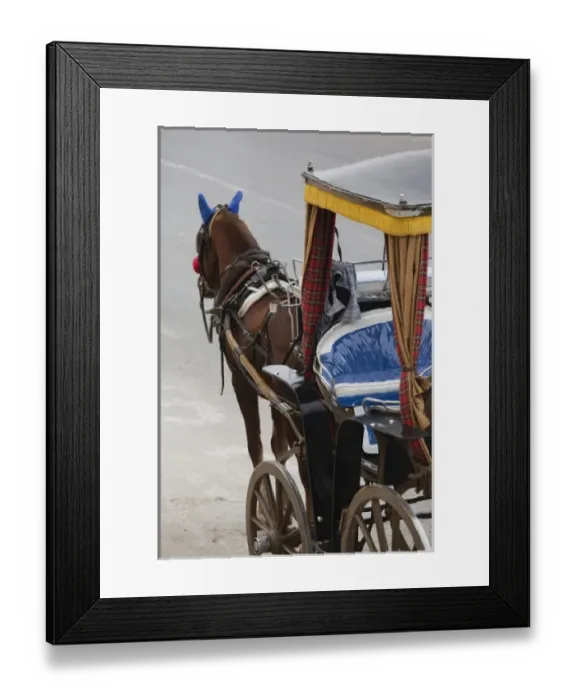 Framed Print : Malta, Valletta, Floriana, horse carriages at Pinto Wharf Framed Print : Malta, Valletta, Floriana, horse carriages at Pinto Wharf