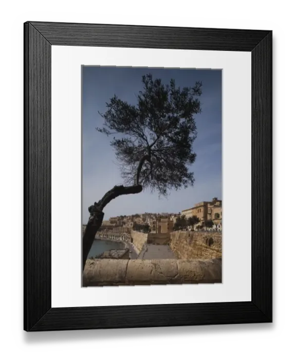 Framed Print : Malta, Valletta, city view from Lower Barrakka Gardens
