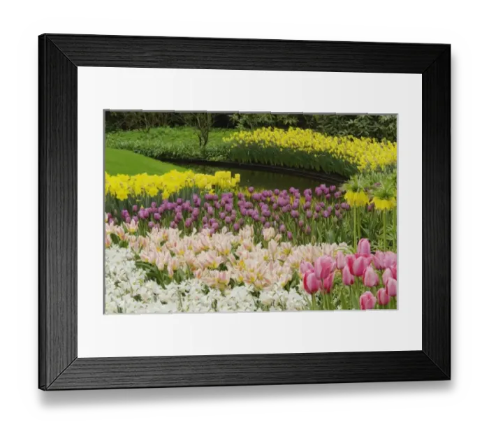 Framed Print : Europe, Netherlands, Holland