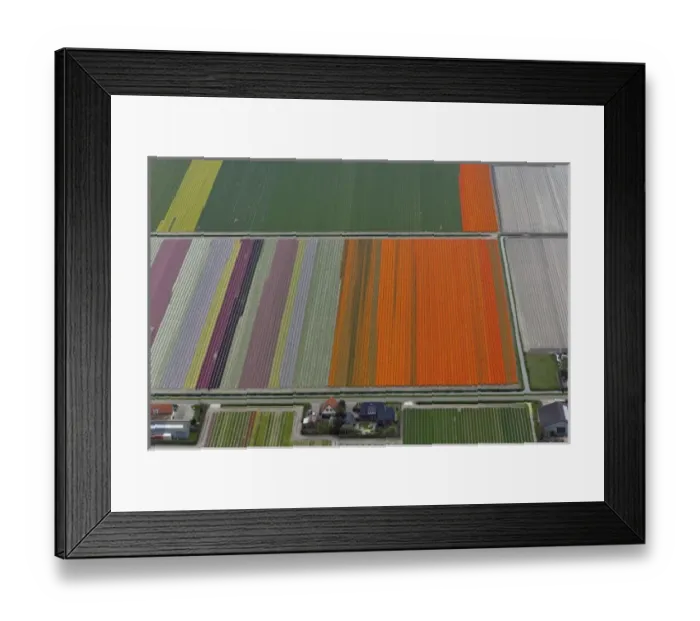 Framed Print : Aerial view of flower field patterns surrounding Amsterdam, Holland Framed Print : Aerial view of flower field patterns surrounding Amsterdam, Holland