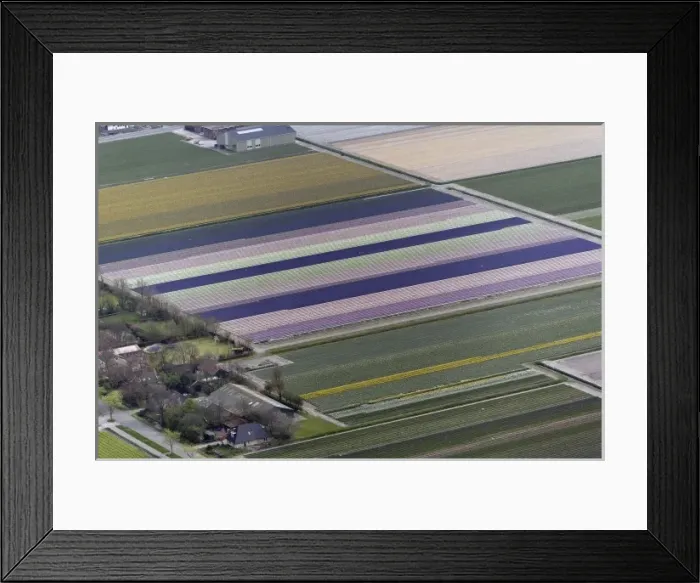 Framed Print : Europe, Netherlands, Holland