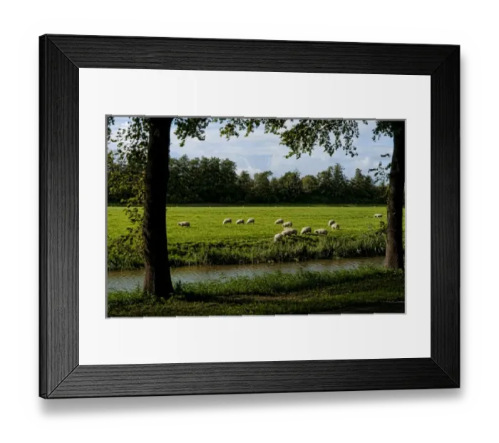 Framed Print : Europe, Netherlands, Holland