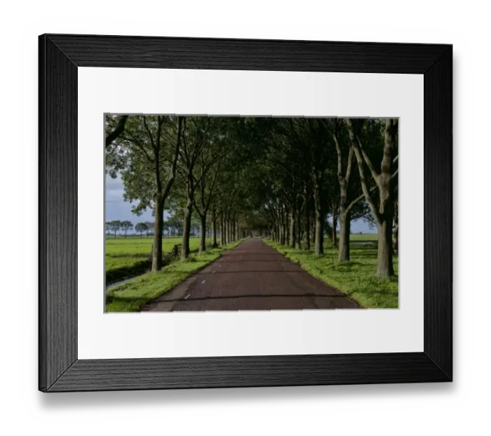 Framed Print : Lonely road at sunset in farming area of Edam village near Amsterdam, Netherlands