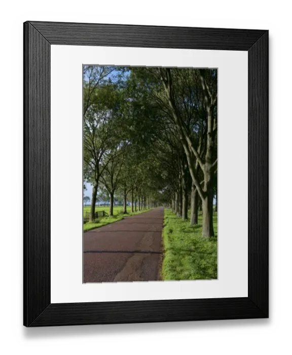 Framed Print : Europe, Netherlands, Holland Framed Print : Europe, Netherlands, Holland
