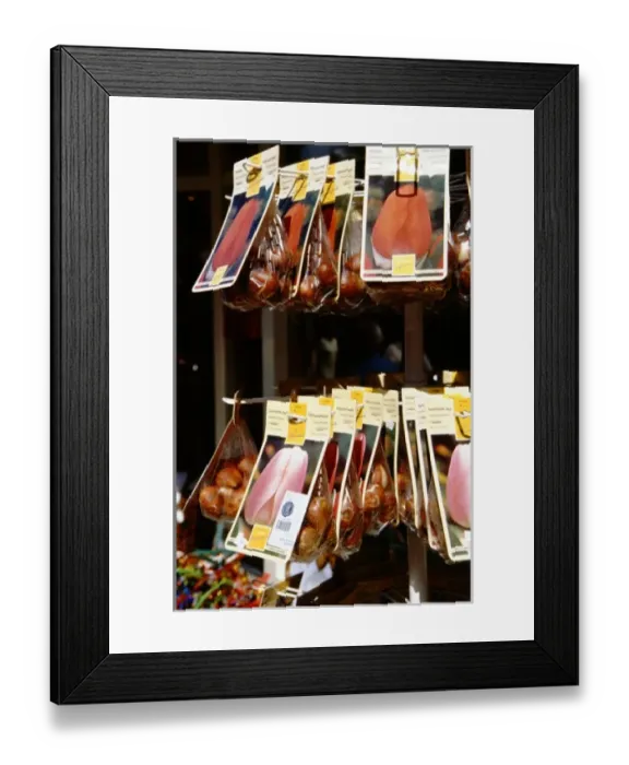 Framed Print : Europe, The Netherlands (aka Holland), Amsterdam. Typical tulip bulbs for sale in Amsterdam