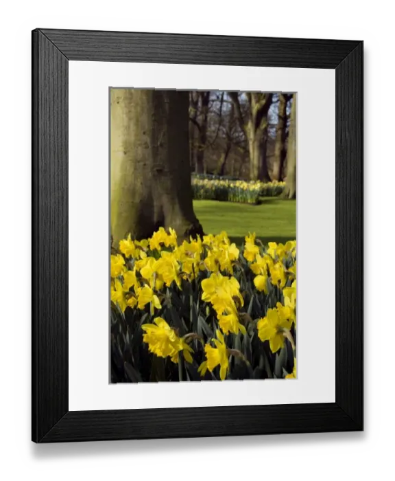 Framed Print : Europe, Netherlands, Holland