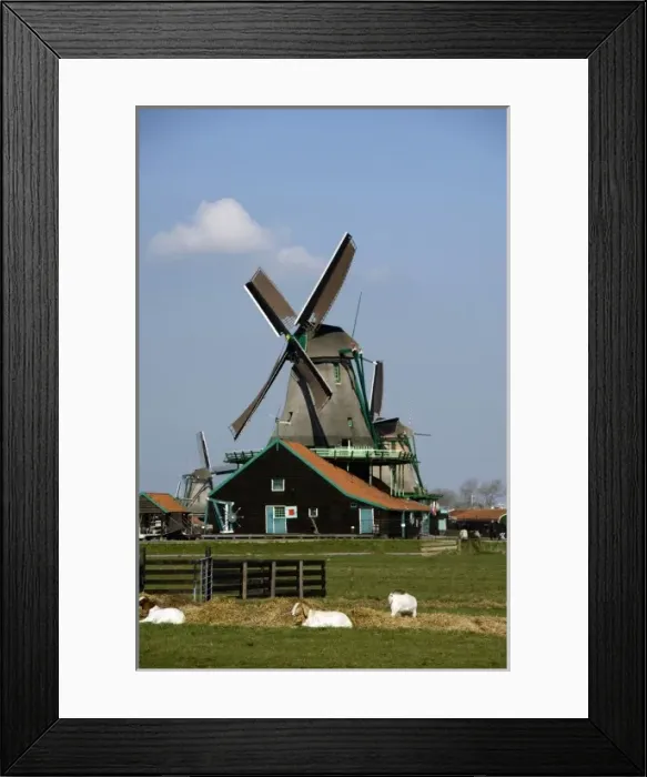 Framed Print : Europe, The Netherlands (aka Holland), Zaandam. Zaanse Schans, historic open air