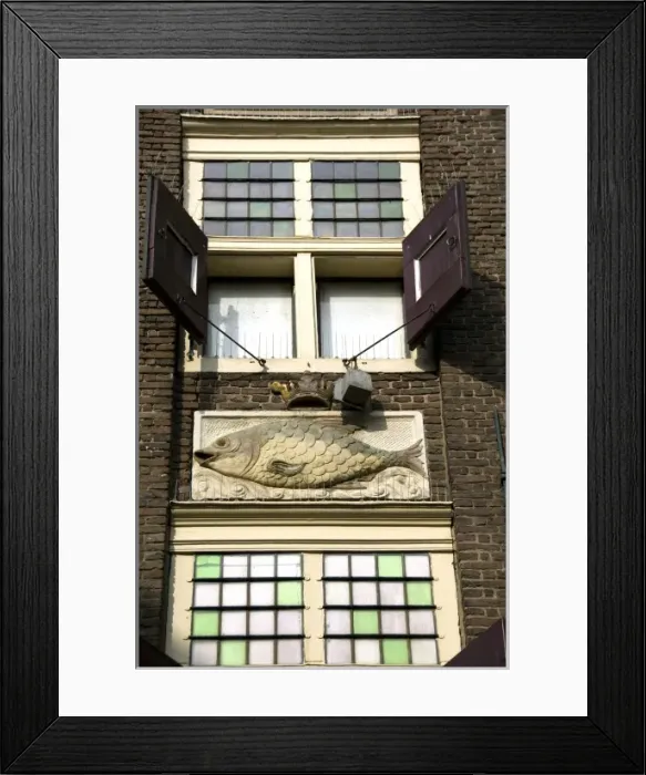 Framed Print : Europe, Netherlands, Holland