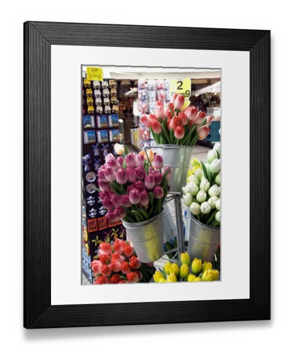 Framed Print : Europe, The Netherlands (aka Holland), Volendam. Popular picturesque fishing village Framed Print : Europe, The Netherlands (aka Holland), Volendam. Popular picturesque fishing village