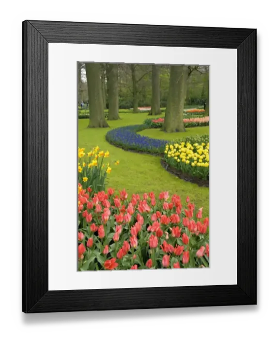 Framed Print : Europe, Netherlands, Holland