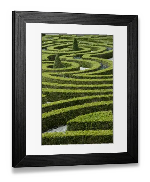 Framed Print : Europe, Netherlands, Holland Framed Print : Europe, Netherlands, Holland