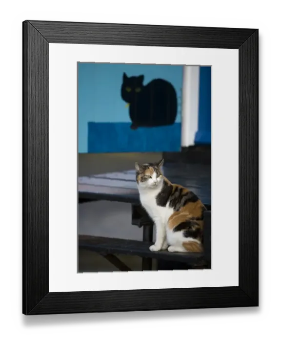 Framed Print : Marken, North Holland, The Netherlands Framed Print : Marken, North Holland, The Netherlands