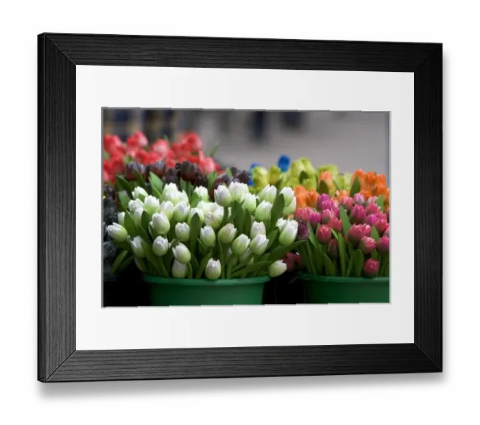 Framed Print : A display of tulips carved out of wood at a market in Amsterdam, Netherlands Framed Print : A display of tulips carved out of wood at a market in Amsterdam, Netherlands
