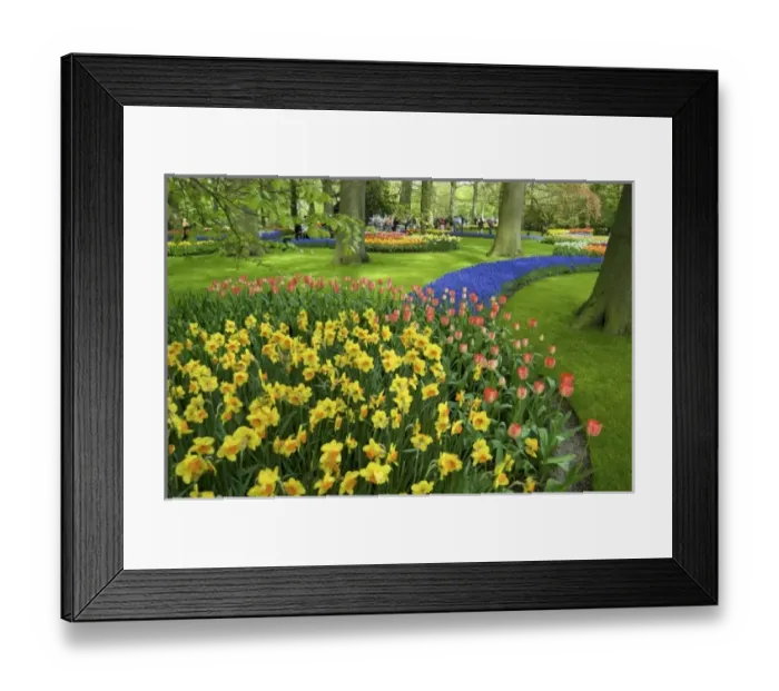 Framed Print : Europe, Netherlands, Holland Framed Print : Europe, Netherlands, Holland