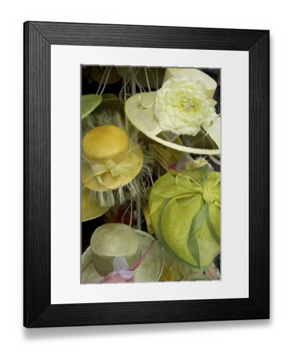 Framed Print : Europe, Netherlands, Holland