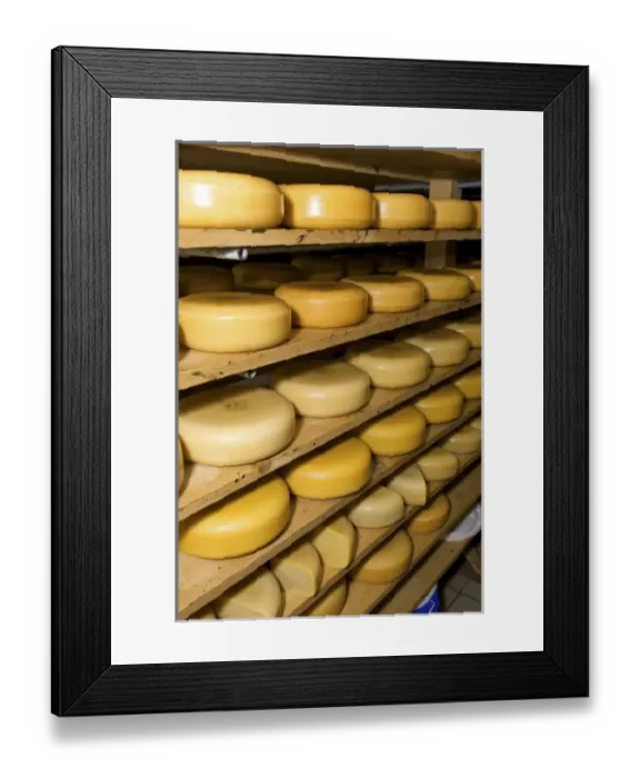 Framed Print : Europe, Netherlands, Holland Framed Print : Europe, Netherlands, Holland