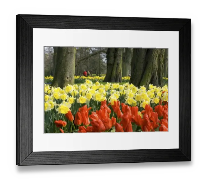 Framed Print : Europe, Netherlands, Holland Framed Print : Europe, Netherlands, Holland