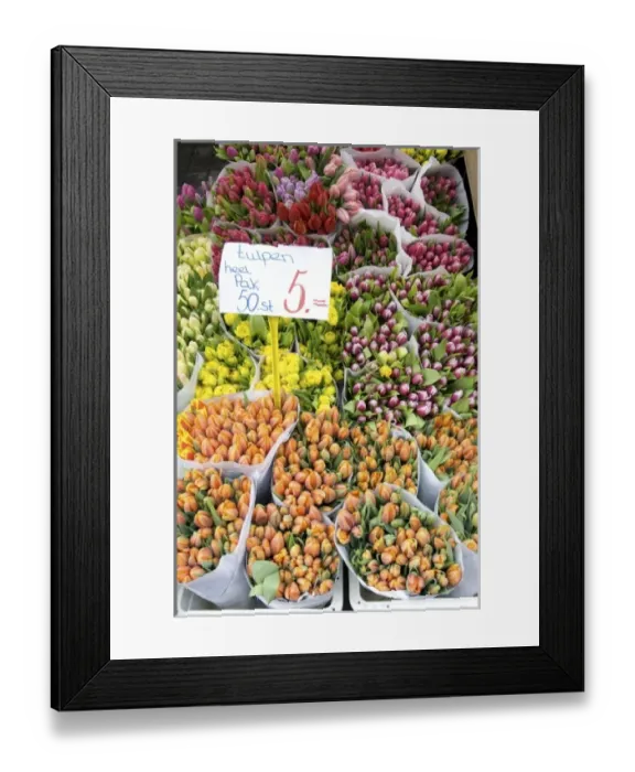 Framed Print : Europe, Netherlands, Holland