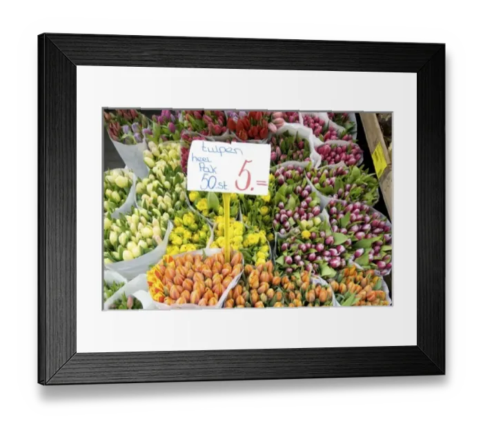 Framed Print : Europe, Netherlands, Holland