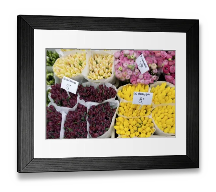 Framed Print : Europe, Netherlands, Holland Framed Print : Europe, Netherlands, Holland
