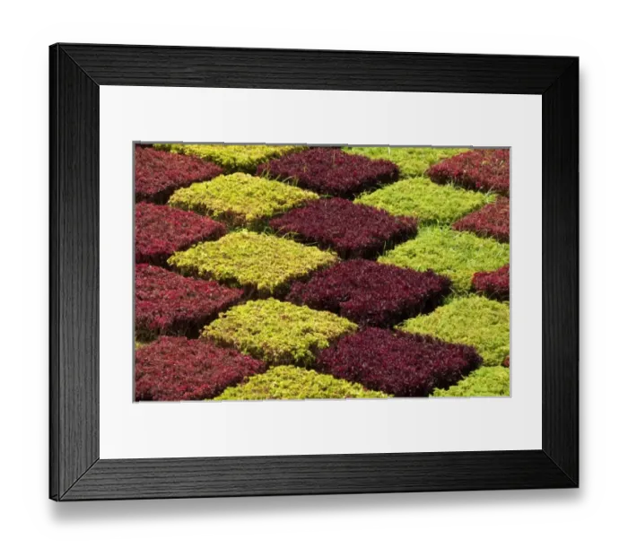 Framed Print : Europe, Portugal Framed Print : Europe, Portugal