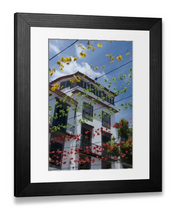 Framed Print : Portugal, Madeira Island, Funchal. Downtown Funchal, typical street scene. Colorful