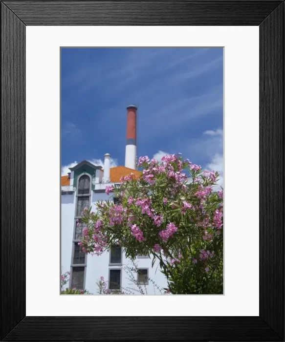 Framed Print : Portugal, Madeira Island, Funchal. Power Plant