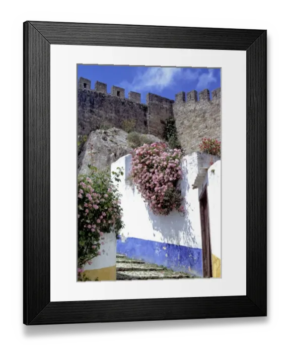 Framed Print : Europe, Portugal, Obidos. Geraniums cover a white-washed wall in Obidos National Monument, Portugal Framed Print : Europe, Portugal, Obidos. Geraniums cover a white-washed wall in Obidos National Monument, Portugal