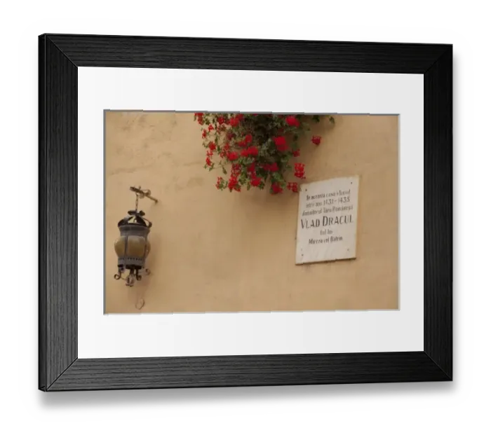 Framed Print : Europe, Romania