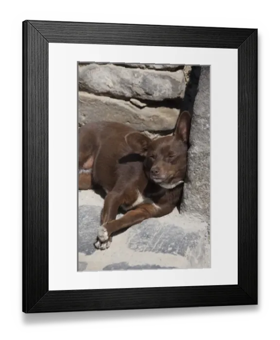 Framed Print : Romania, Transylvania, Sighisoara. Birthplace of Vlad Tepes, Count Dracula. Local Framed Print : Romania, Transylvania, Sighisoara. Birthplace of Vlad Tepes, Count Dracula. Local