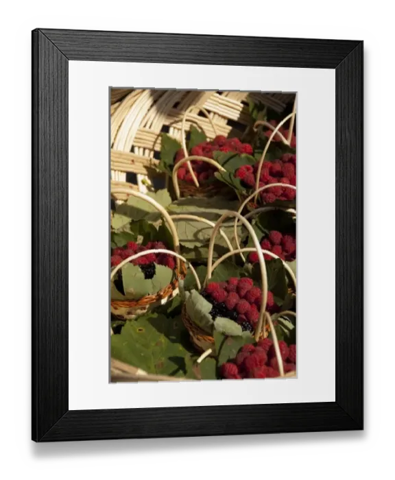 Framed Print : Europe, Romania Framed Print : Europe, Romania
