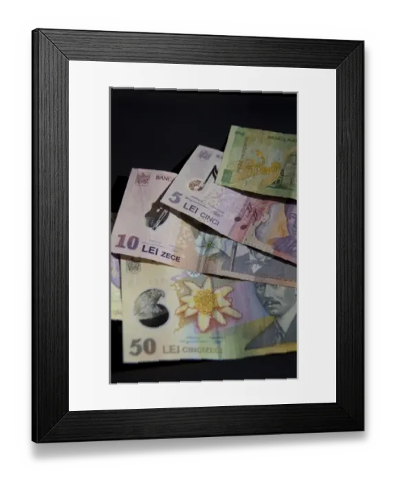 Framed Print : Romania. Romanian currency the Lei. Assorted bills Framed Print : Romania. Romanian currency the Lei. Assorted bills