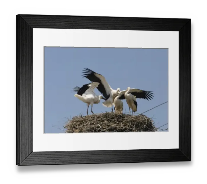 Framed Print : Europe, Romania Framed Print : Europe, Romania